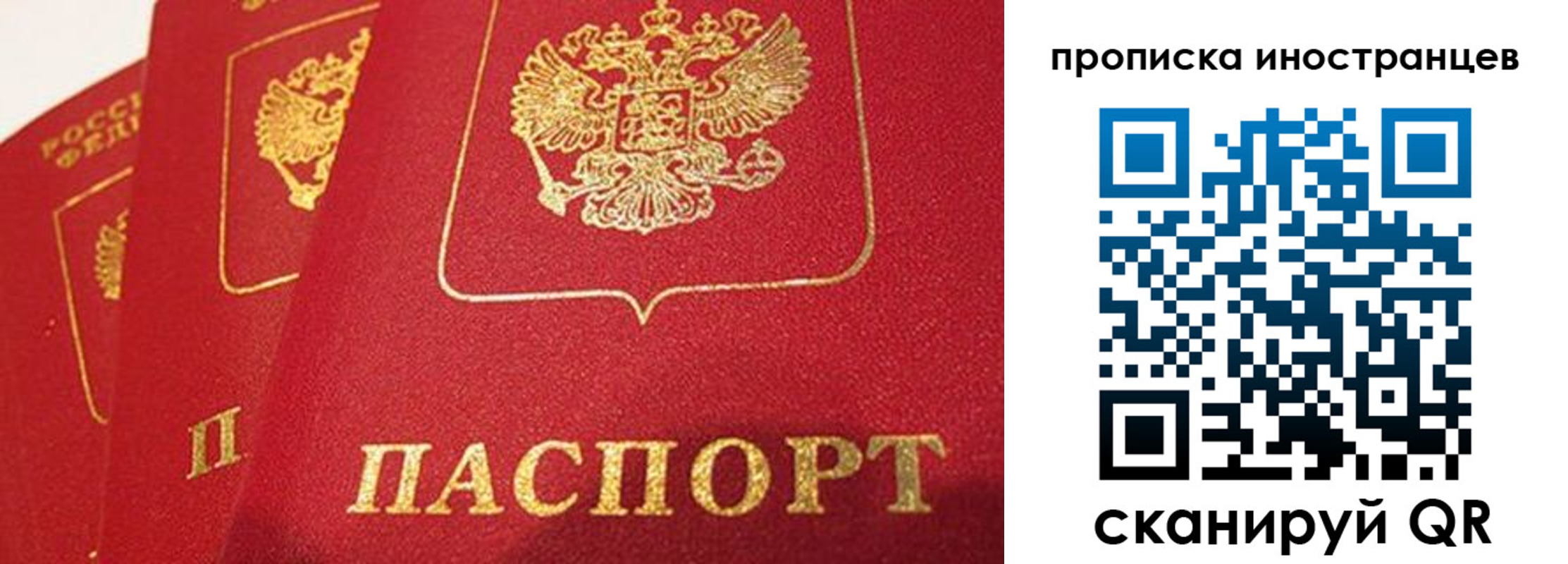 прописка поиск в Боброве